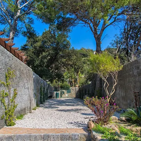 Dei Lecci - 7 Luxury With Private Pool Or Jacuzzi * Forio di Ischia